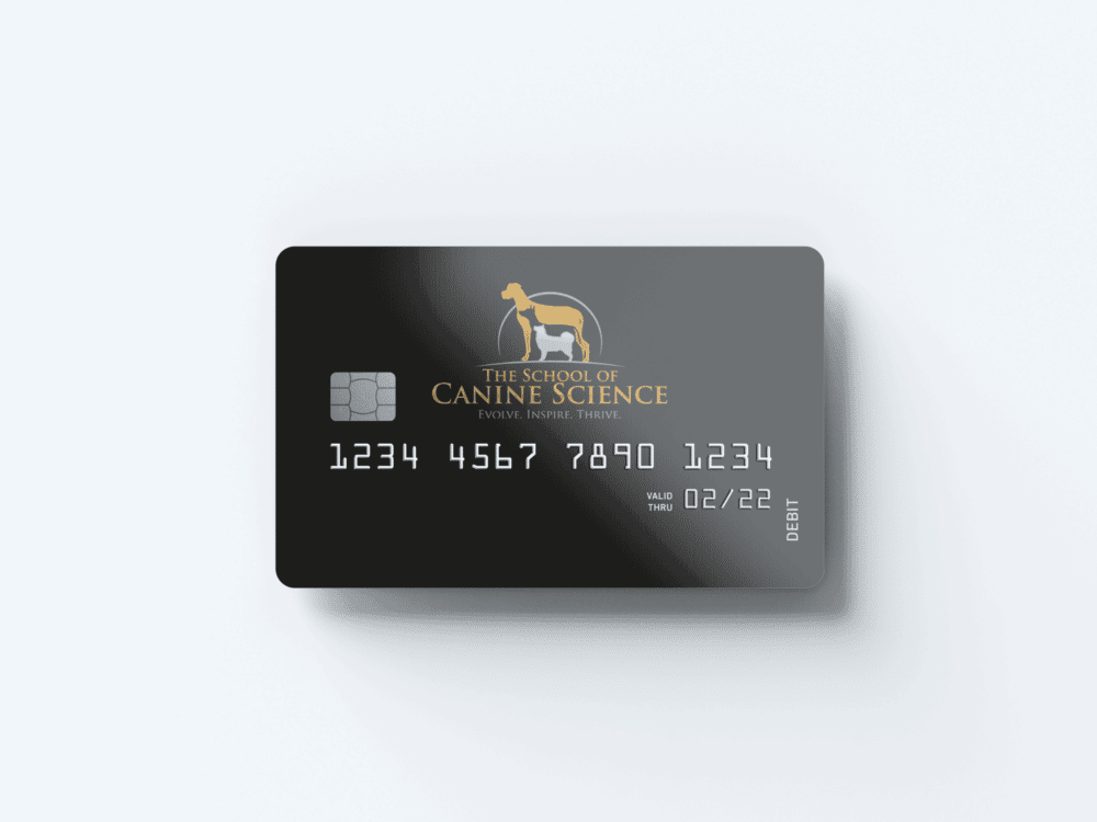 Custom Payment