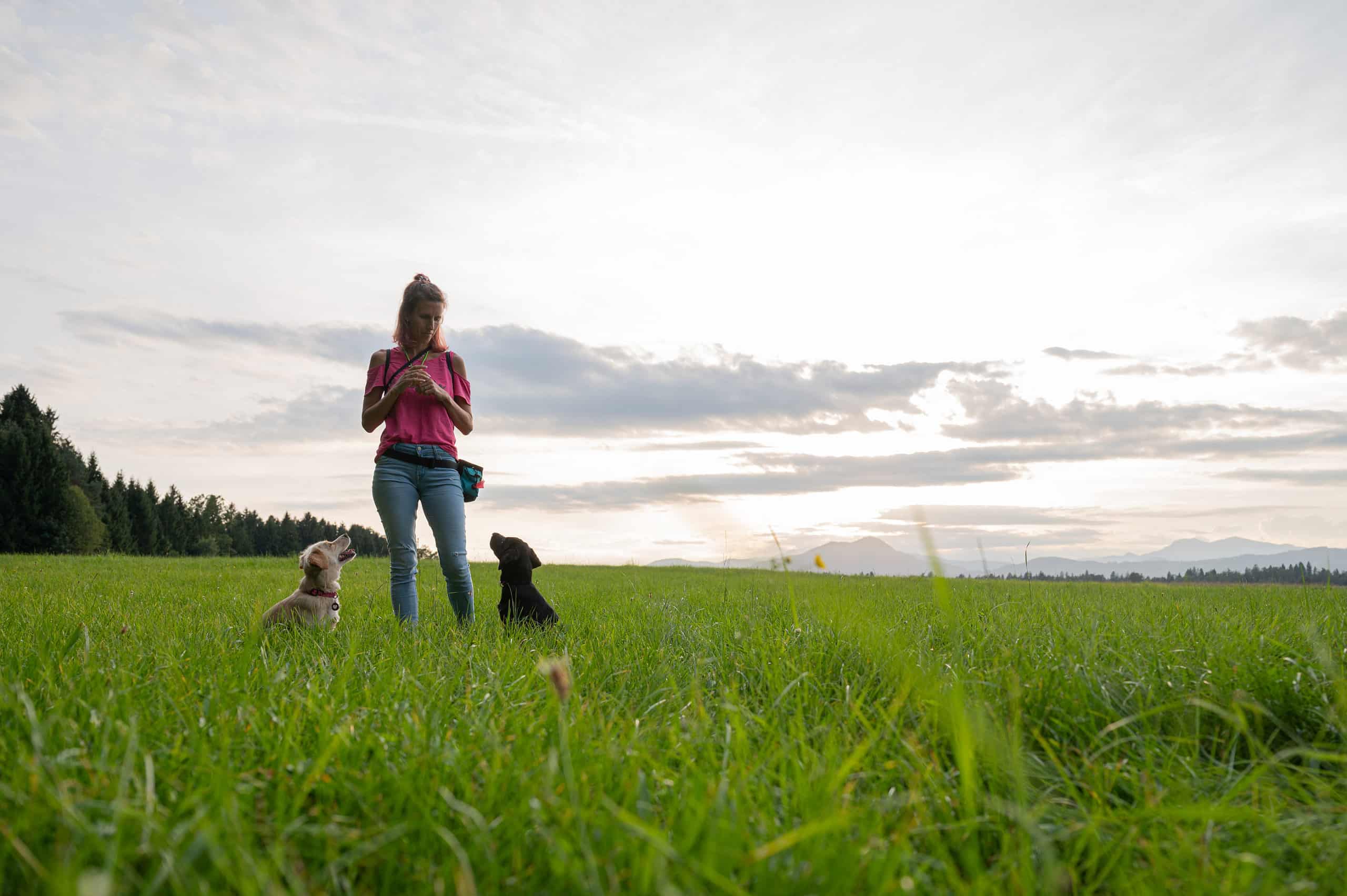 A woman stands in a grassy field, accompanied by two playful dogs, enjoying a sunny day outdoors.